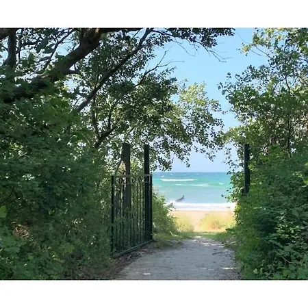 بيت للعطل Shell Comfortable Ostseebad Kühlungsborn