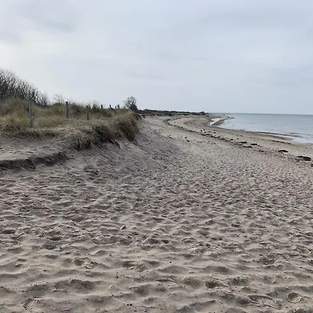 Shell Comfortable * Ostseebad Kühlungsborn